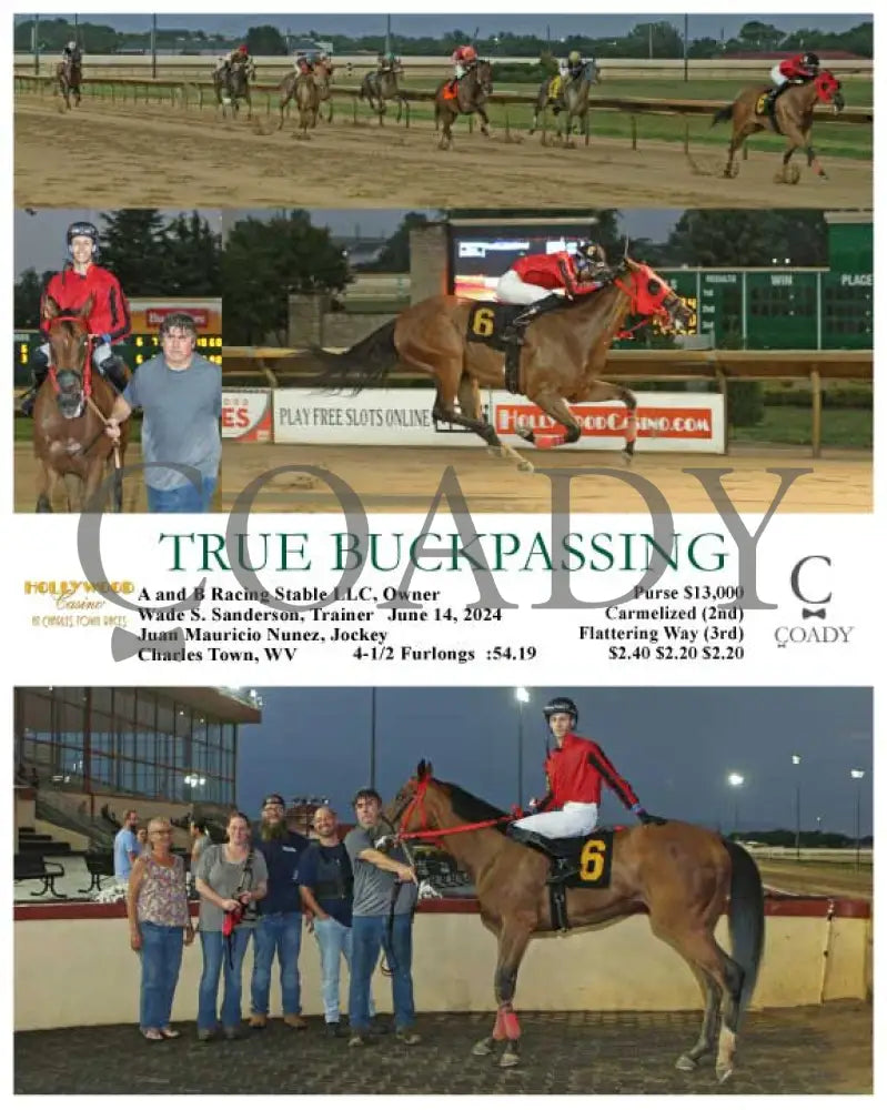 True Buckpassing - 06-14-24 R03 Ct Hollywood Casino At Charles Town Races