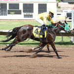 Trust Anabelle - Sierra Starlet 07-27-24 R09 The Downs At Albuquerque Finish