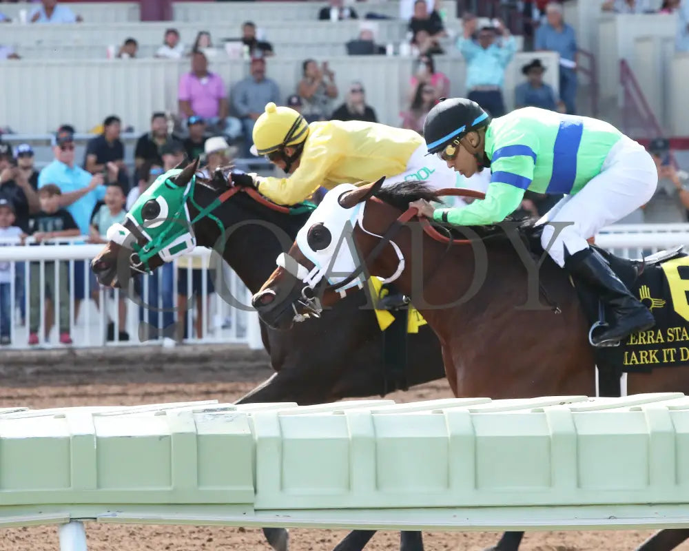 Trust Anabelle - Sierra Starlet 07-27-24 R09 The Downs At Albuquerque Inside Finish