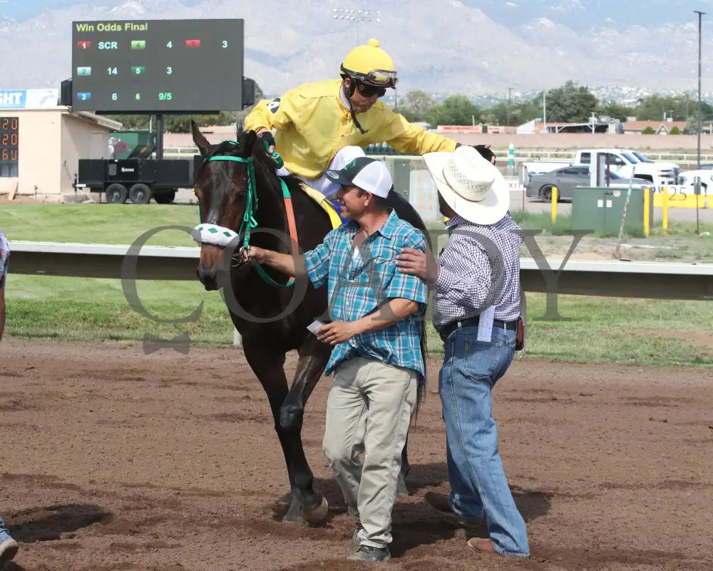 Trust Anabelle - Sierra Starlet 07-27-24 R09 The Downs At Albuquerque Return Shot 2