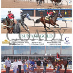 Tsunami Gold - 03 - 29 - 24 R01 Sun Sunland Park