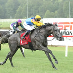 Tufani - The Brookmeade Stakes 07-20-24 R04 Colonial Downs Finish 2 Mark Flanders