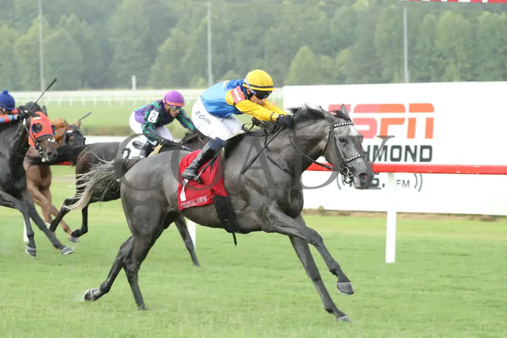 Tufani - The Brookmeade Stakes 07-20-24 R04 Colonial Downs Finish 2 Mark Flanders