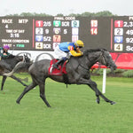 Tufani - The Brookmeade Stakes 07-20-24 R04 Colonial Downs Finish Maddy Becker.jpg