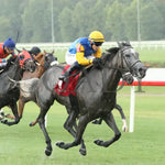 Tufani - The Brookmeade Stakes 07-20-24 R04 Colonial Downs Finish Mark Flanders.jpg