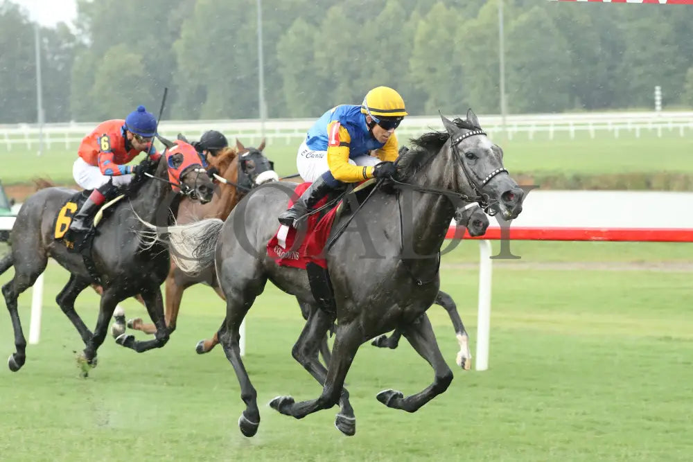 Tufani - The Brookmeade Stakes 07-20-24 R04 Colonial Downs Finish Mark Flanders.jpg