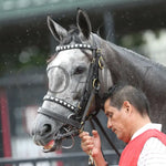 Tufani - The Brookmeade Stakes 07-20-24 R04 Colonial Downs Head Shot Nick Phillips.jpg