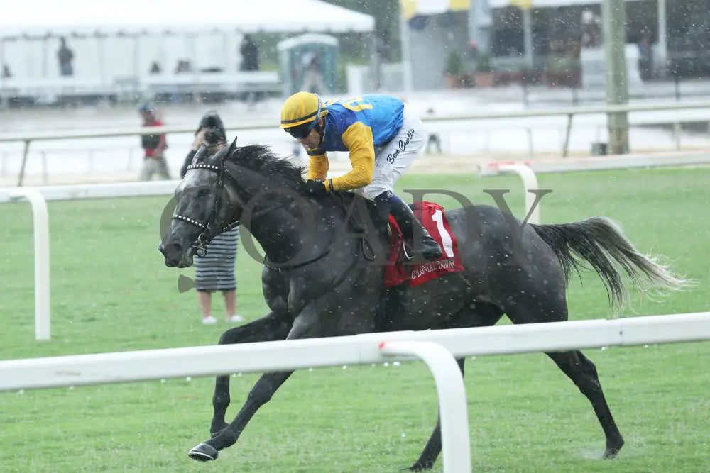 Tufani - The Brookmeade Stakes 07-20-24 R04 Colonial Downs Inside Finish Nick Phillips.jpg