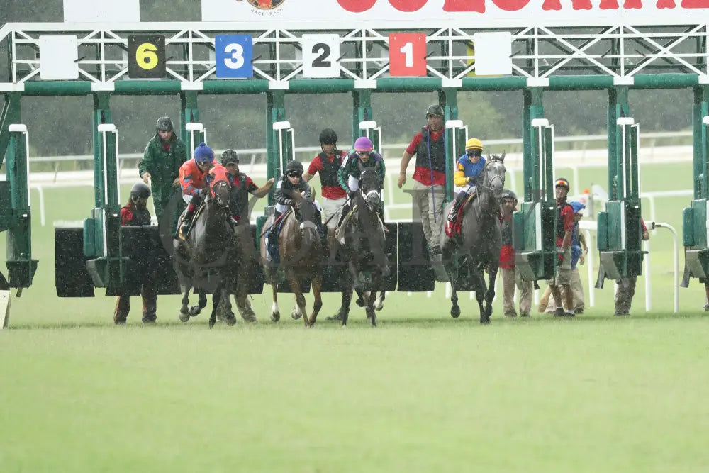 Tufani - The Brookmeade Stakes 07-20-24 R04 Colonial Downs Starting Gate.jpg