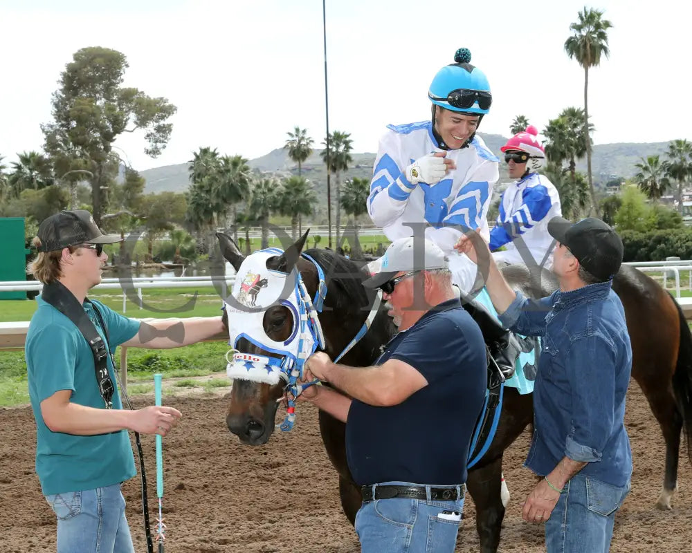 Turbulent Kisses - Mike Hastings Memorial 03 - 18 - 24 R02 Turf Paradise Celebration