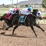 Turbulent Kisses - Mike Hastings Memorial 03 - 18 - 24 R02 Turf Paradise Finish