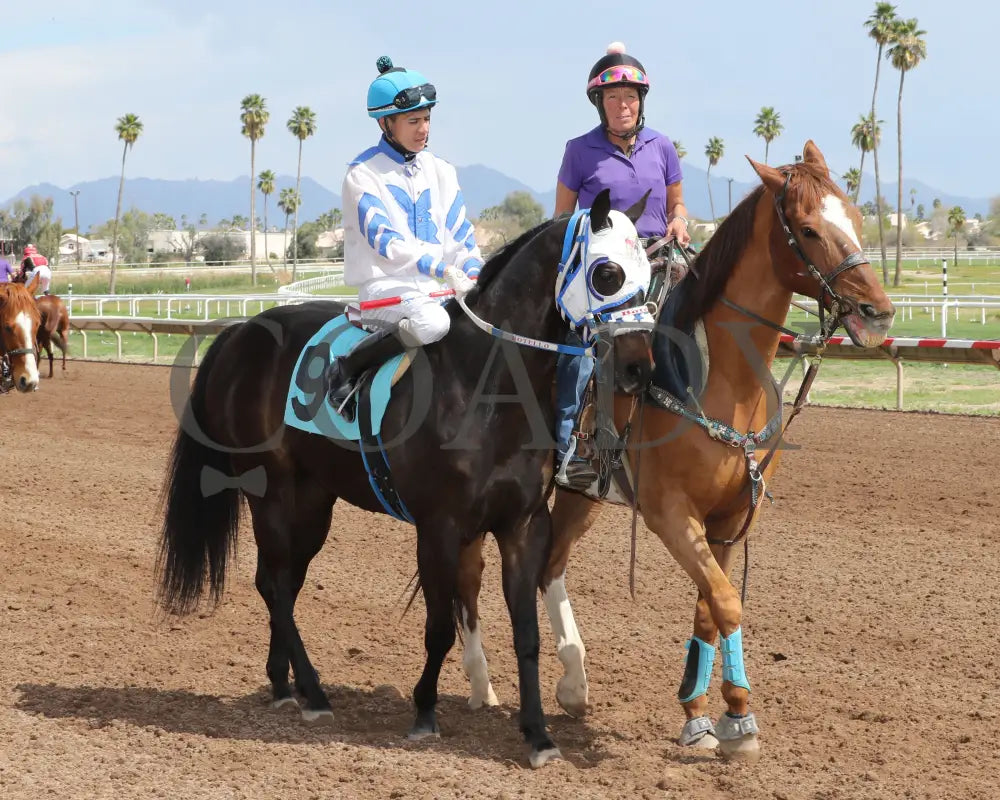 Turbulent Kisses - Mike Hastings Memorial 03 - 18 - 24 R02 Turf Paradise Post Parade