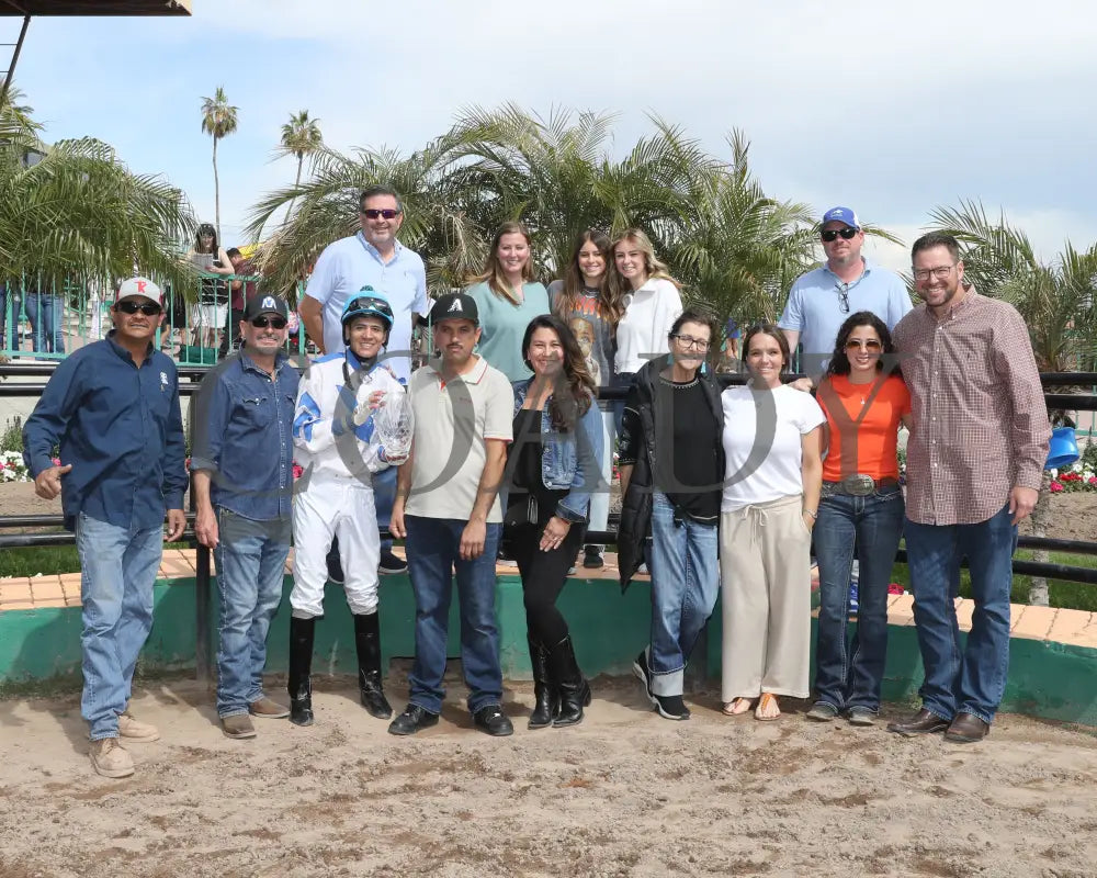 Turbulent Kisses - Mike Hastings Memorial 03 - 18 - 24 R02 Turf Paradise Presentation