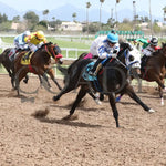 Turbulent Kisses - Mike Hastings Memorial 03 - 18 - 24 R02 Turf Paradise Stretch