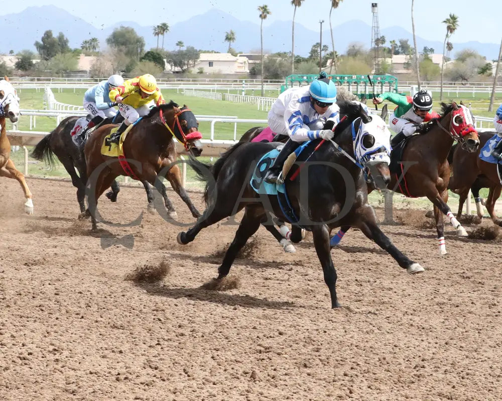 Turbulent Kisses - Mike Hastings Memorial 03 - 18 - 24 R02 Turf Paradise Stretch