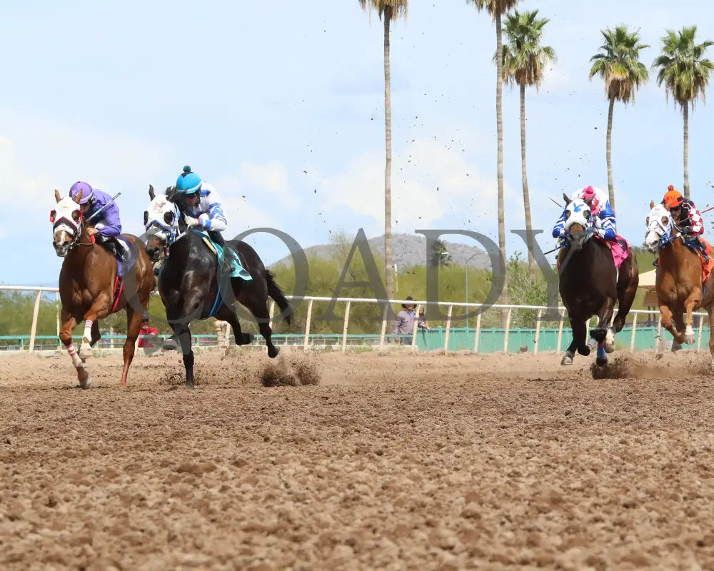 Turbulent Kisses - Mike Hastings Memorial 03 - 18 - 24 R02 Turf Paradise Under Rail