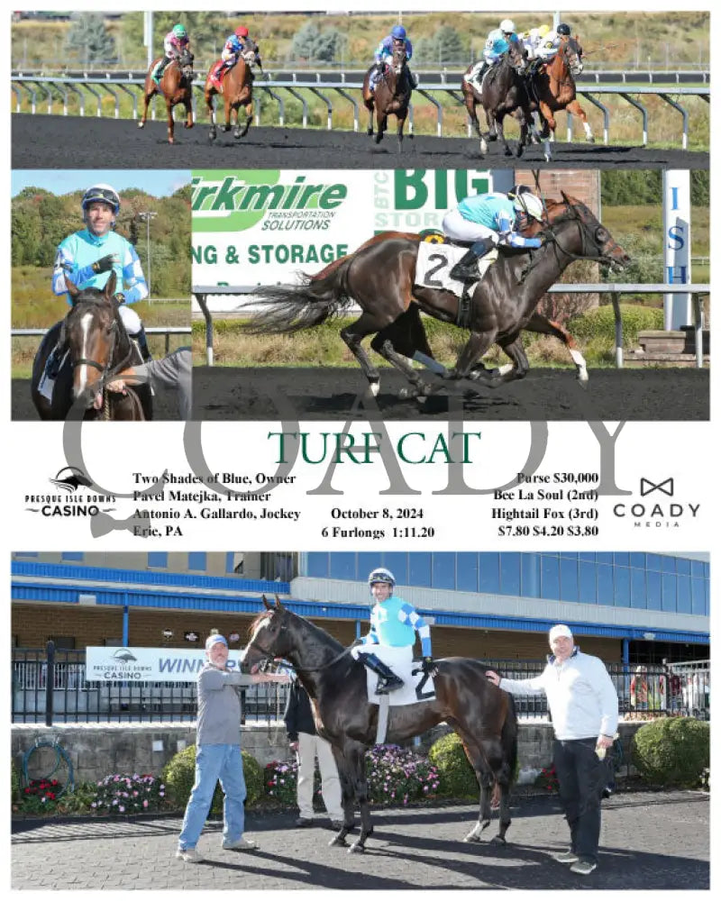 Turf Cat - 10-08-24 R01 Pid Presque Isle Downs