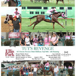 Tut’s Revenge - 080324 Race 09 Elp Ky Downs Preview Mint Millions Turf Mile 8Th Running Ellis Park