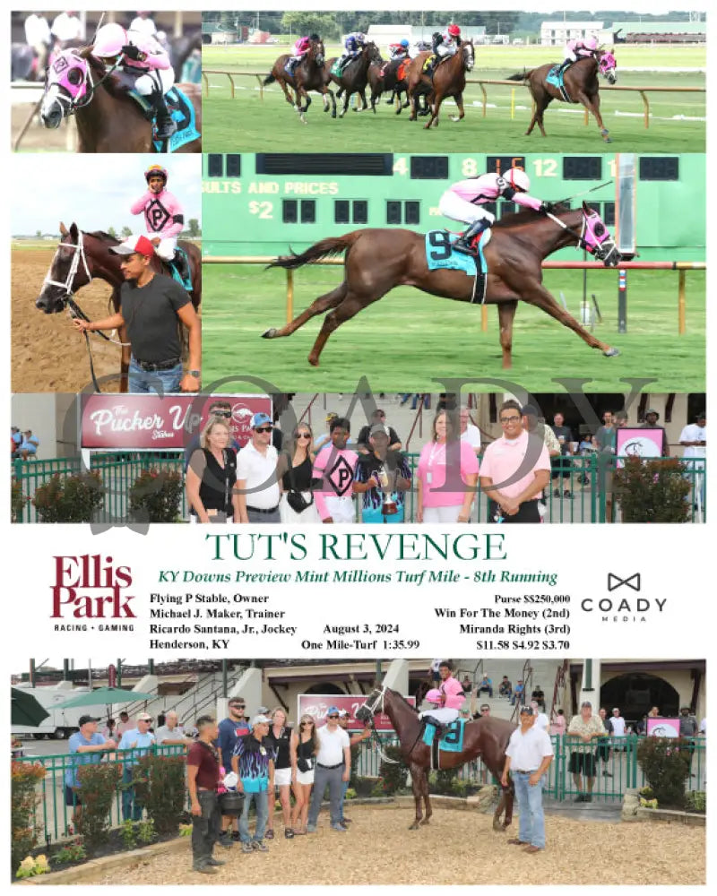 Tut’s Revenge - 080324 Race 09 Elp Ky Downs Preview Mint Millions Turf Mile 8Th Running Ellis Park