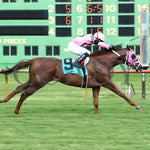 Tut’s Revenge - 080324 Race 09 Elp Ky Downs Preview Mint Millions Turf Mile 8Th Running Finish 01