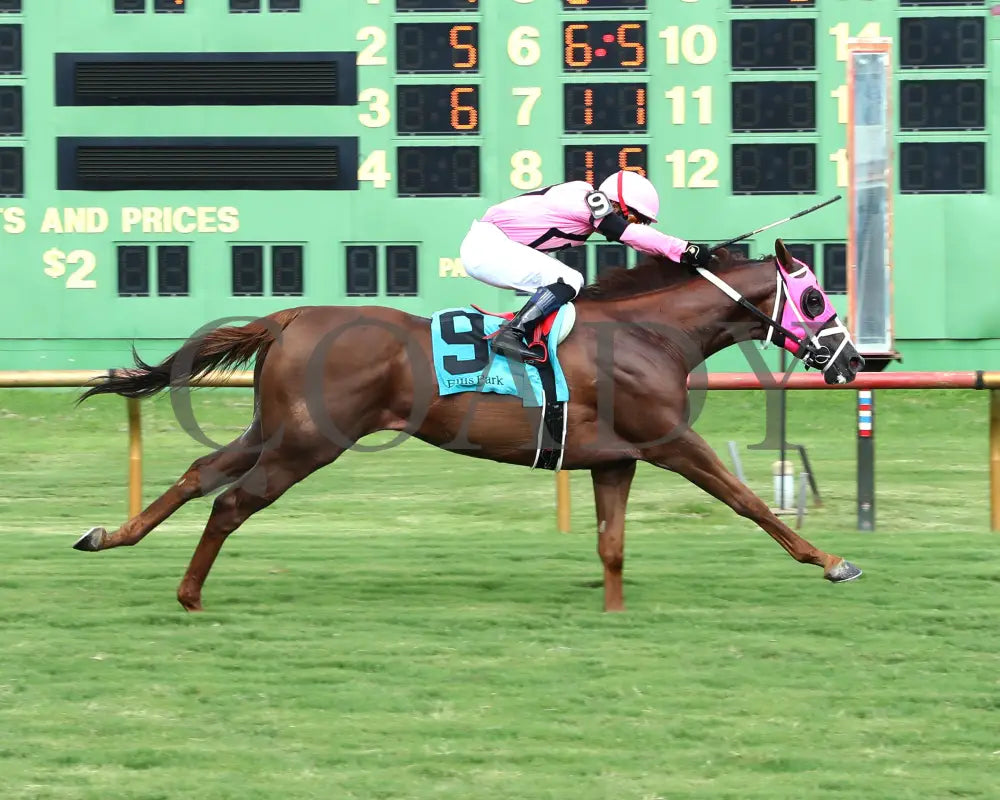 Tut’s Revenge - 080324 Race 09 Elp Ky Downs Preview Mint Millions Turf Mile 8Th Running Finish 01