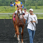 Twilight Dancer - The Hard Spun Stakes 15Th Running 07-22-24 R07 Pid Comeback Presque Isle Downs