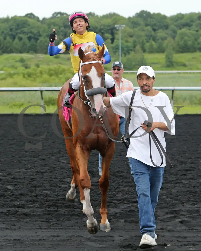 Twilight Dancer - The Hard Spun Stakes 15Th Running 07-22-24 R07 Pid Comeback Presque Isle Downs