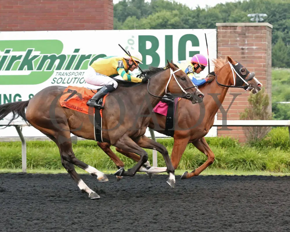 Twilight Dancer - The Hard Spun Stakes 15Th Running 07-22-24 R07 Pid Finish Presque Isle Downs