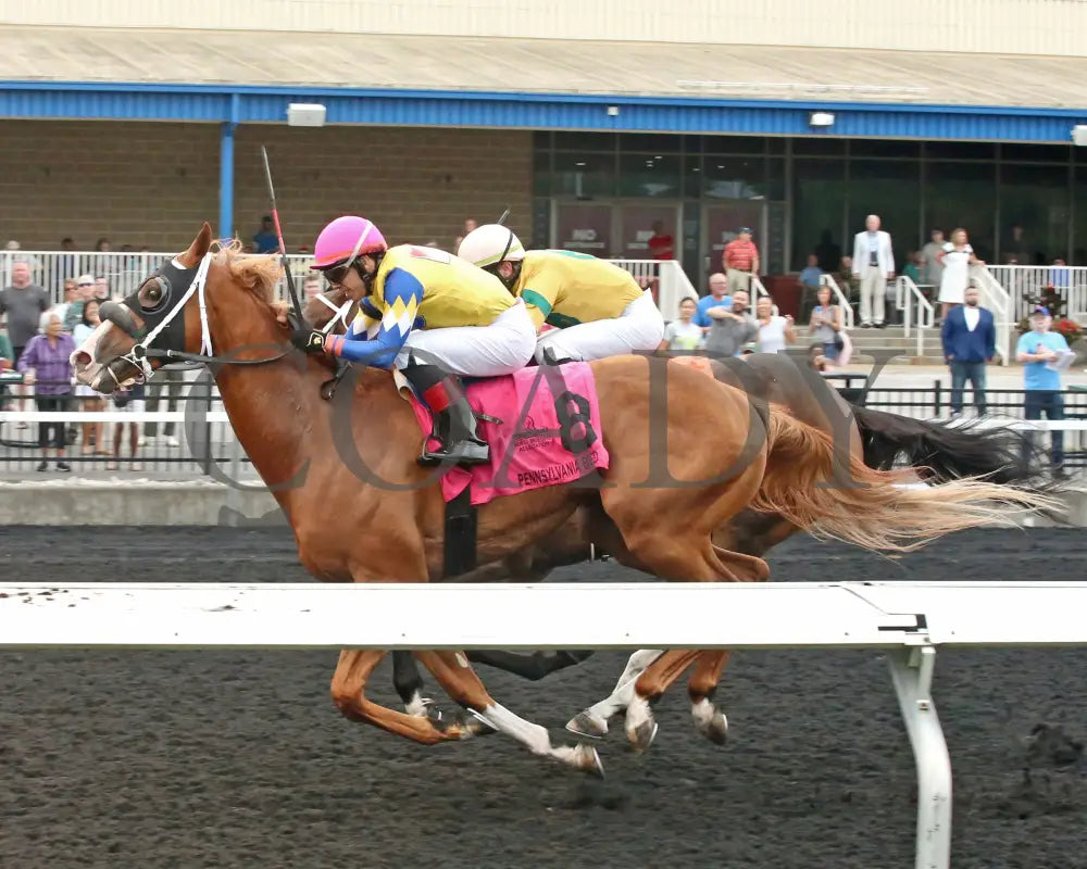 Twilight Dancer - The Hard Spun Stakes 15Th Running 07-22-24 R07 Pid Inside Finish Presque Isle