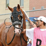 Twilight Dancer - The Hard Spun Stakes 15Th Running 07-22-24 R07 Pid Paddock 01 Presque Isle Downs