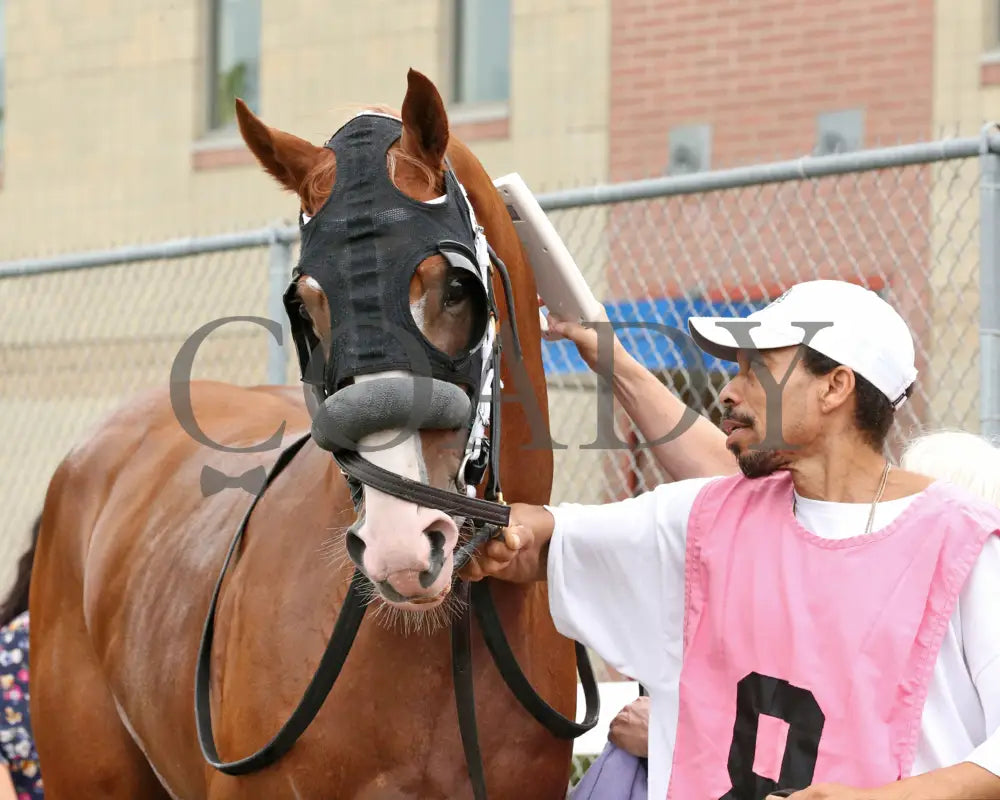 Twilight Dancer - The Hard Spun Stakes 15Th Running 07-22-24 R07 Pid Paddock 01 Presque Isle Downs