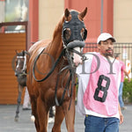 Twilight Dancer - The Hard Spun Stakes 15Th Running 07-22-24 R07 Pid Paddock 02 Presque Isle Downs