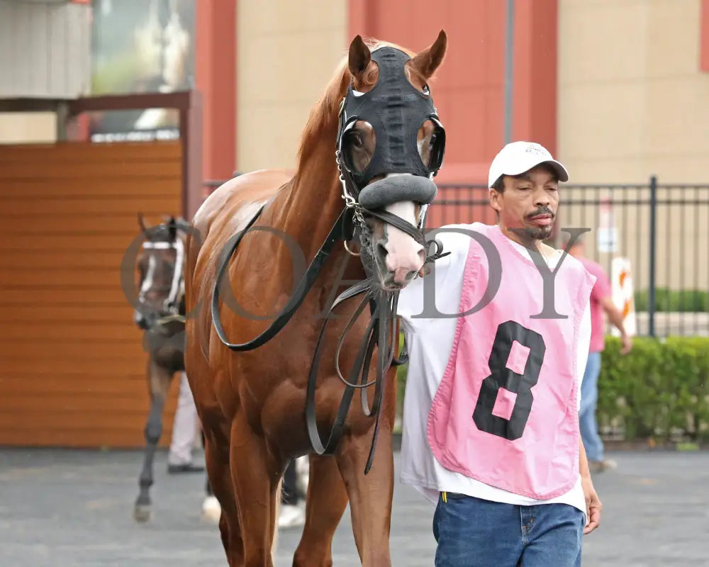 Twilight Dancer - The Hard Spun Stakes 15Th Running 07-22-24 R07 Pid Paddock 02 Presque Isle Downs