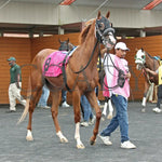 Twilight Dancer - The Hard Spun Stakes 15Th Running 07-22-24 R07 Pid Paddock 03 Presque Isle Downs