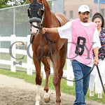 Twilight Dancer - The Hard Spun Stakes 15Th Running 07-22-24 R07 Pid Paddock 04 Presque Isle Downs