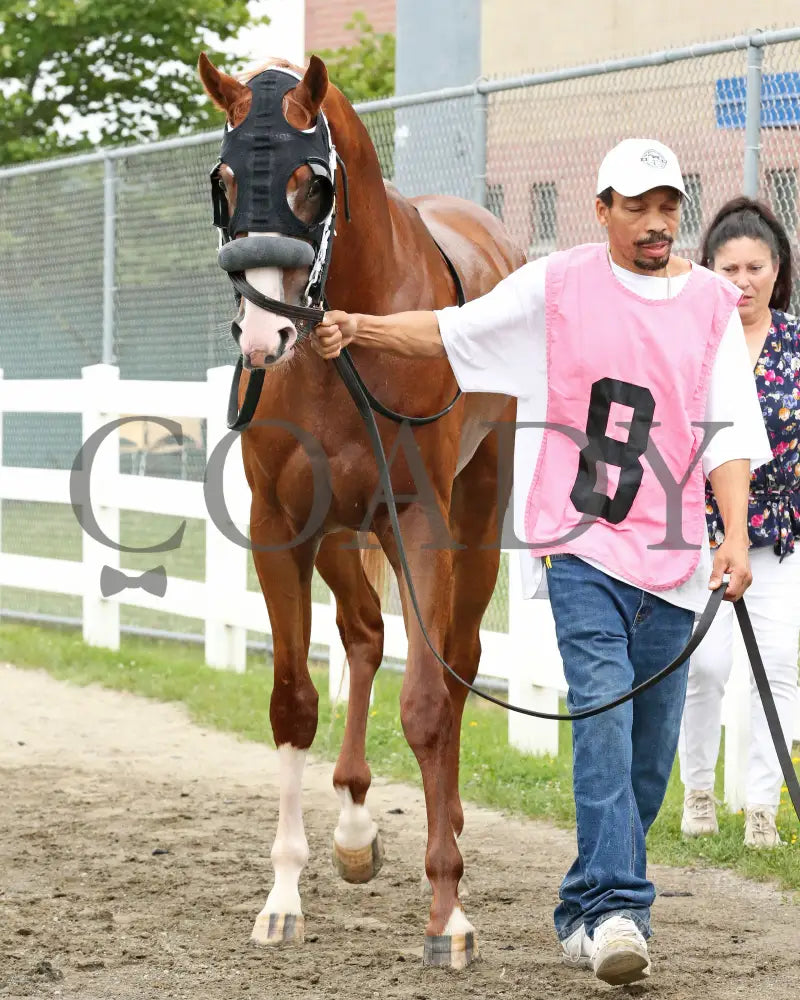 Twilight Dancer - The Hard Spun Stakes 15Th Running 07-22-24 R07 Pid Paddock 04 Presque Isle Downs