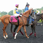 Twilight Dancer - The Hard Spun Stakes 15Th Running 07-22-24 R07 Pid Post Parade Presque Isle Downs