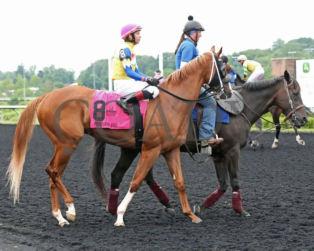 Twilight Dancer - The Hard Spun Stakes 15Th Running 07-22-24 R07 Pid Post Parade Presque Isle Downs