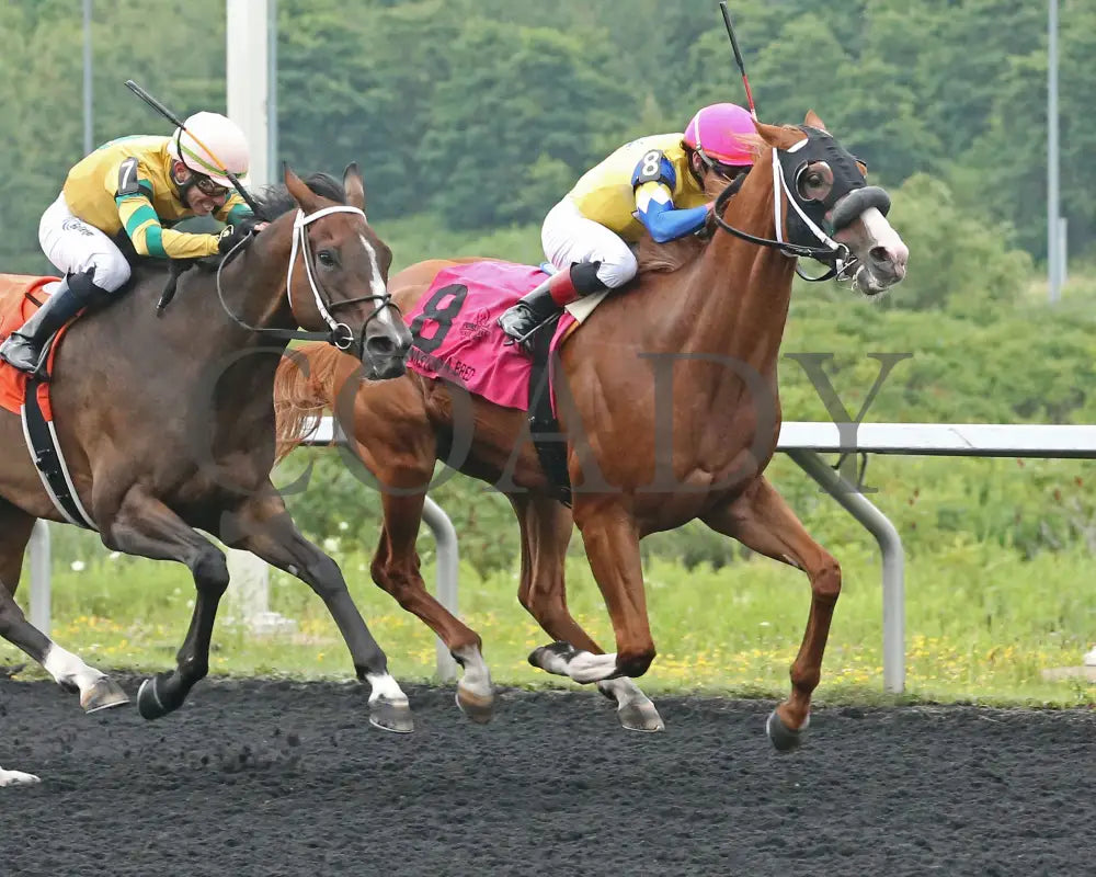 Twilight Dancer - The Hard Spun Stakes 15Th Running 07-22-24 R07 Pid Tight Finish Presque Isle Downs