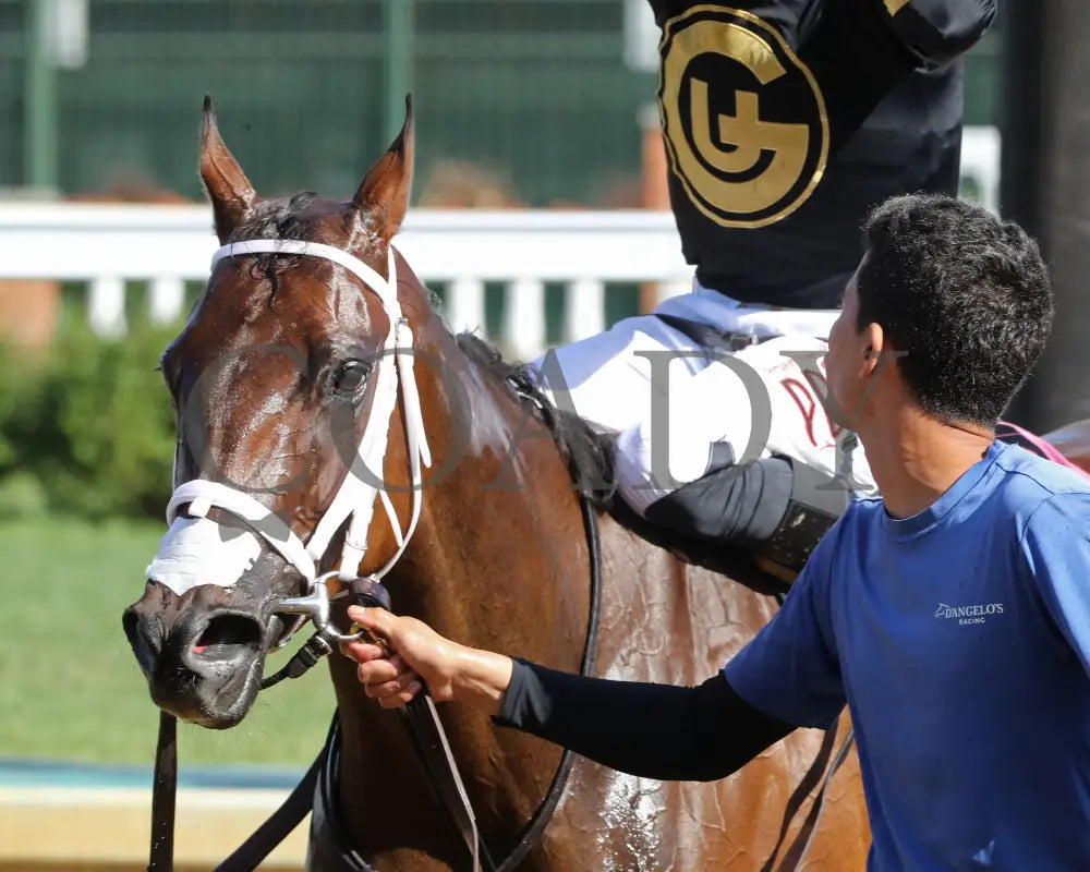 Twirling Queen - The Mamzelle Stakes 5Th Running 05-11-24 R10 Cd Come Back 02 Churchill Downs