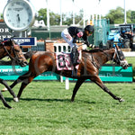 Twirling Queen - The Mamzelle Stakes 5Th Running 05-11-24 R10 Cd Finish 01 Churchill Downs