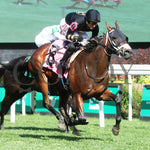 Twirling Queen - The Mamzelle Stakes 5Th Running 05-11-24 R10 Cd Finish 02 Churchill Downs