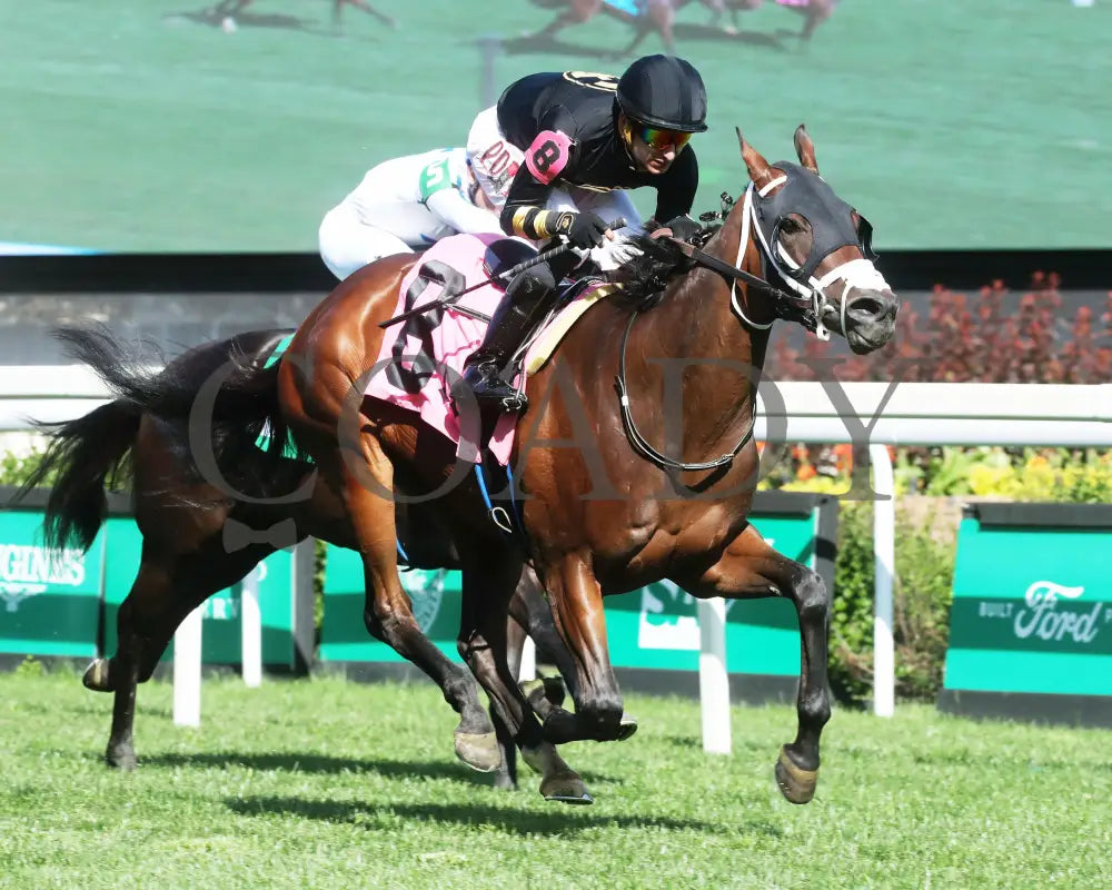 Twirling Queen - The Mamzelle Stakes 5Th Running 05-11-24 R10 Cd Finish 02 Churchill Downs