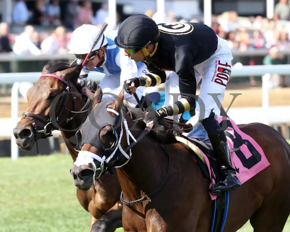 Twirling Queen - The Mamzelle Stakes 5Th Running 05-11-24 R10 Cd Inside Finish 01 Churchill Downs