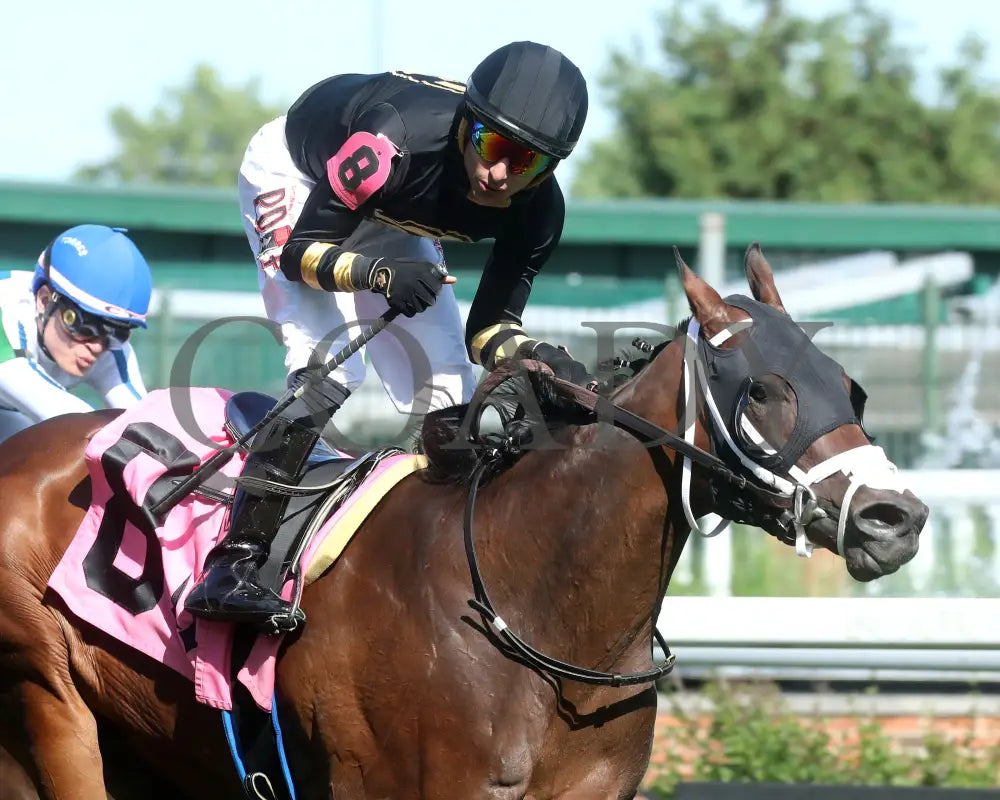 Twirling Queen - The Mamzelle Stakes 5Th Running 05-11-24 R10 Cd Tight Finish 01 Churchill Downs