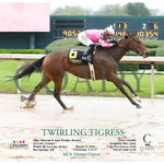 Twirling Tigress - 031524 Race 03 Op Action Oaklawn Park