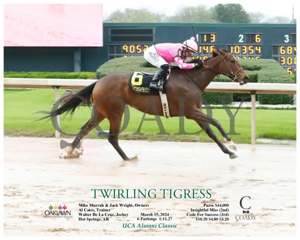 Twirling Tigress - 031524 Race 03 Op Action Oaklawn Park