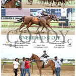 Unbridled Slope - 06-05-24 R03 Ind Indiana Grand