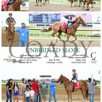 Unbridled Slope - 06-18-24 R04 Ind Indiana Grand