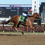 Unbridled Slope - Unreachable Star 5Th Running 10-26-24 R07 Horseshoe Indiana Finish 01 Sammantha